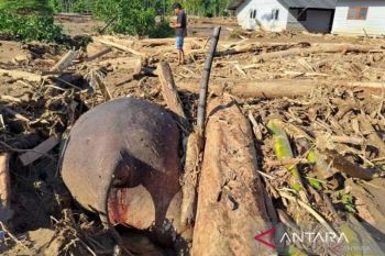 Update Bencana Aceh, WALHI dorong restorasi ekologis pulihkan alam