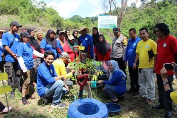 PLN UIP Sulawesi bangunkan lahan tidur seluas 3 hektare