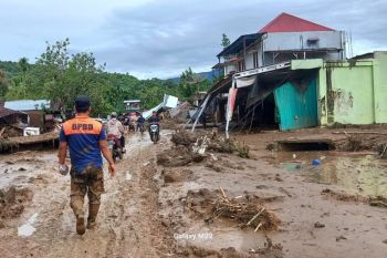 Rp13,9 miliar kerugian bencana alam di Agam