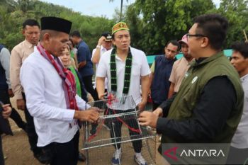 Pemkab Mabar berharap semakin banyak desa jadi sasaran program DMPM