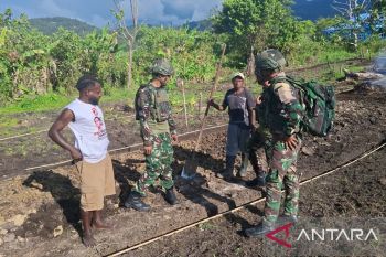 Prajurit TNI Satgas Yonif 521 siapkan lahan pertanian untuk warga Kobagma
