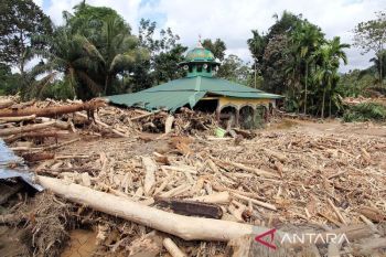 BP BUMN minta 3 Polda di Sumatera usut pembalakan liar pemicu banjir
