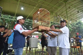 800 pecinta burung kicau DIY Jateng ikuti Festival Kajari Sleman Cup