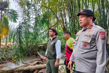 Menteri Kehutanan ikut bantu evakuasi korban banjir bandang di Agam (Video)