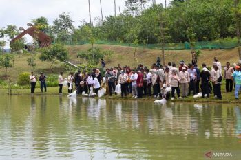 Otorita perkuat ketahanan lingkungan IKN bangun embung-kolam retensi