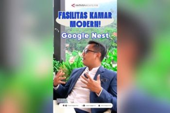 Fasilitas kamar modern Google nest