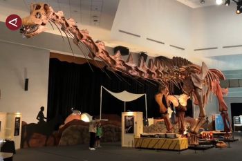 SAMBUT AKHIR TAHUN, SCIENCE CENTRE SINGAPURA PAMERKAN SEJARAH HEWAN PURBA