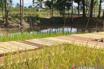 Korem Gapo bantu cetak sawah rakyat 6.200 ha di Sumsel