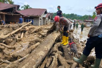 Bencana banjir dan tanah longsor, 120 korban meninggal dunia di Agam