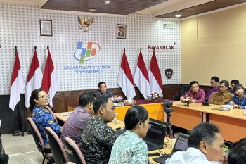 BPS Bali catat permintaan wortel naik berkat kebutuhan dapur MBG