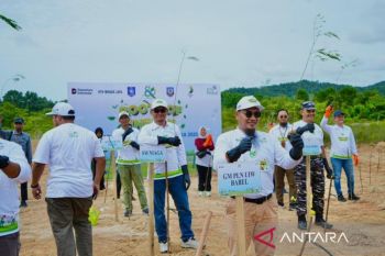PLN Bangka Belitung rehabilitasi lahan kritis Desa Kepasong