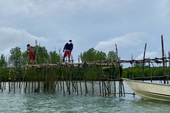 Diskan Batam catat hasil ekspor ikan hingga September naik 24,5%