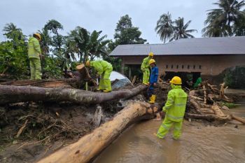 ESDM: Listrik di Sumbar mulai pulih, Sumut dan Aceh masih terputus