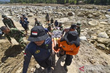 Pemerintah minta maaf penanganan bencana Sumatera belum maksimal