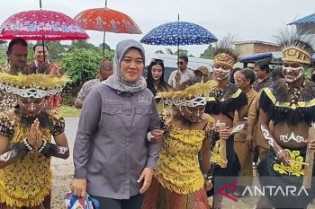 Komisi VII DPR dorong strategi baru bangkitkan kejayaan udang Lampung