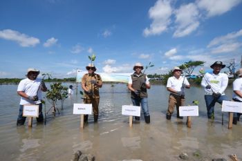 Pegawai PLN Group Sulsel tanam 10.150 pohon di Jeneponto
