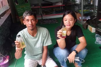 Komunitas urban farming Lebak produksi pupuk organik hingga perikanan