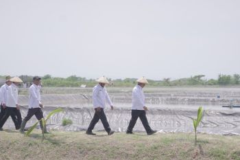 Indonesia to use idle lands for inmates empowerment