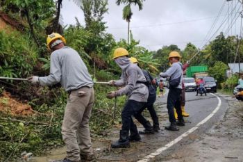 Gubernur Sumbar apresiasi kerja PLN pulihkan listrik pascabencana