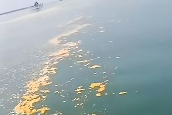 Pantai utara Tangerang diduga tercemar limbah minyak