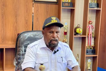 Pemkab Jayapura gelar lomba pohon Natal mendorong kreativitas warga