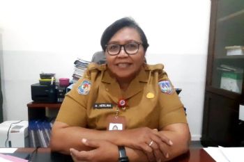 Kadinkes: Kemensos putus 61.500 penerima BIJKN di Provinsi Papua Selatan