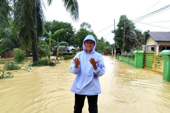 Penyintas bencana di Aceh Tamiang minum air banjir untuk bertahan hidup