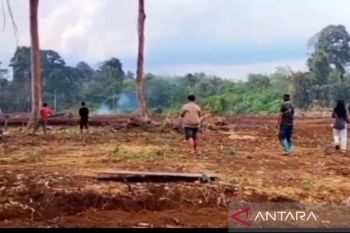 Pencetakan 604 hektare sawah baru di Rejang Lebong rampung