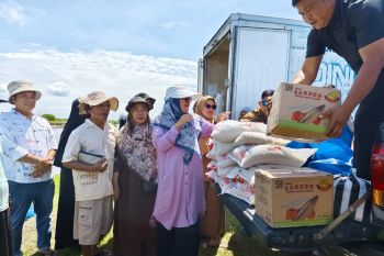 TP PKK Pasaman Barat salurkan 8,1 ton beras untuk warga terdampak banjir di Sasak