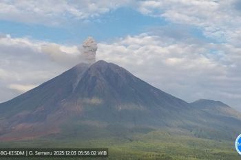 Semeru hari Rabu ini alami 16 kali erupsi dengan tinggi letusan capai 1.100 meter