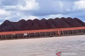 Ekspor nonmigas Kaltim 1,67 miliar dolar dipicu kenaikan ekspor lemak