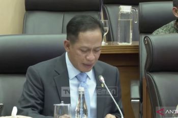 Pemerintah bakal musnahkan cengkeh terkontaminasi Cs-137 tahun depan