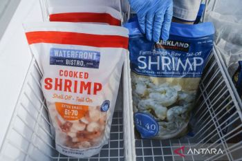 Ministry informs 1,852 containers of Indonesian shrimp enter US market