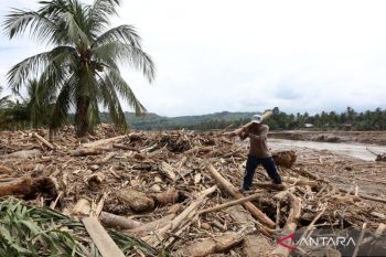 Govt forms task force to trace flood-swept timber origin in Sumatra