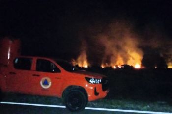 Pemkab Natuna padamkan kebakaran hutan seluas 4 hektare di Pengadah