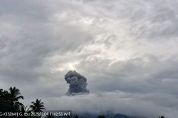 Gunung Ibu semburkan abu vulkanik setinggi hingga 600 meter