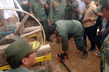 10 persen kerusakan hutan TNGHS akibat penambang ilegal