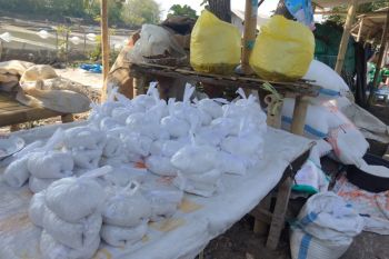 Lombok Timur dukung swasembada garam nasional