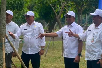 Jakpro gelar aksi tanam pohon sebagai upaya hijaukan Jakarta