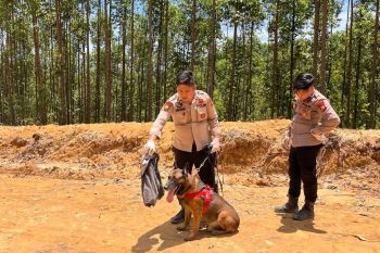 K9 Polda Riau gugur dalam tugas kemanusiaan di Sumbar