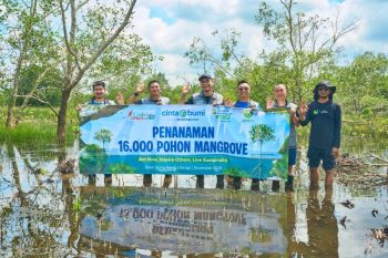"Langkah Membumi Ecoground" di Taman Peruri kumpulkan 16 ribu mangrove