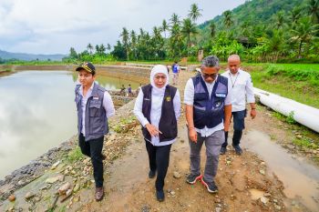 Gubernur Jatim tinjau pembangunan tanggul bronjong Sungai Trenggalek