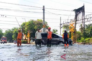 BPBD DKI laporkan 23 RT terdampak banjir rob