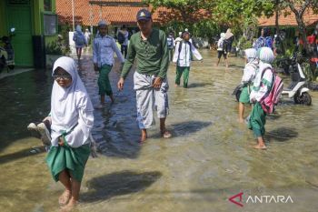 Perlu penanganan maksimal atasi banjir rob di pesisir Jakarta
