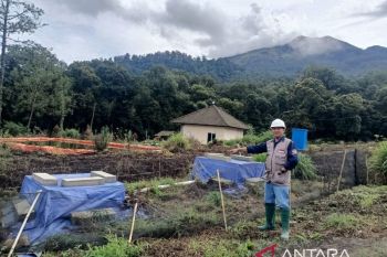Pakar Mitigasi UB: Penebangan hutan harus dievaluasi