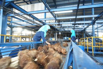 HUT ke-58, Sambu Group perkuat komitmen keberlanjutan ekosistem kelapa Indonesia