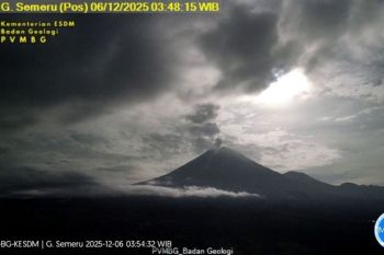 Guguran lava Gunung Semeru meluncur hingga 1 km ke arah Besuk Kobokan