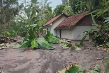 Sembilan rumah warga terendam banjir lahar Gunung Semeru