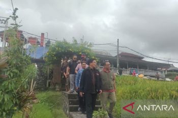 DPRD Bali menegaskan penutupan restoran berbeton Jatiluwih demi penataan