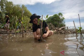 Sepi peminat  pembuatan paspor di Imigrasi Tanjungpinang